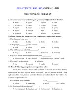 Tải Đề ôn thi học sinh giỏi lớp 6 môn Tiếng Anh năm học 2019 - 2020 số 9 - Đề thi học sinh giỏi môn tiếng Anh 6 có đáp án