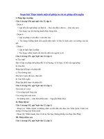 Tải Soạn bài Thực hành một số phép tu từ cú pháp siêu ngắn - Soạn văn 12 siêu ngắn