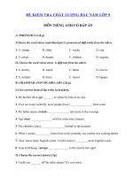 Tải Đề thi khảo sát chất lượng đầu năm môn Tiếng Anh lớp 9 năm 2020 - 2021 số 2 - Đề khảo sát chất lương đầu năm lớp 9 môn tiếng Anh