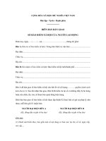 Tải Mẫu biên bản giao nhận sổ bảo hiểm xã hội - HoaTieu.vn