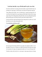 Tải Cách làm tinh dầu sả cực dễ đuổi muỗi truyền virus Zika - Cách làm tinh dầu sả nguyên chất tại nhà dùng để đuổi muỗi