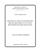 (Luận văn thạc sĩ) phân tích các nhân tố ảnh hưởng đến hiệu quả hoạt động của các ngân hàng thương mại việt nam sau ma 