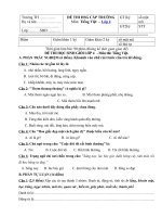 Tải Đề thi học sinh giỏi môn Tiếng việt lớp 4 năm 2019 - 2020 - Thi học sinh giỏi Tiếng việt lớp 4 có đáp án