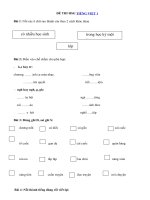 Tải Đề thi học sinh giỏi Tiếng Việt lớp 1 - Bài tập Tiếng Việt lớp 1