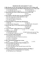 nội dung ôn tập lịch sử 7 lần 2