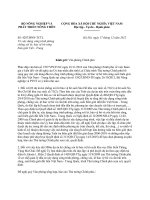 BNN-TCTL - HoaTieu.vn