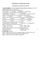 Tải Bộ đề thi giữa học kì 1 môn Tin học lớp 6 năm 2020 - Đề thi Tin học lớp 6 giữa học kì 1