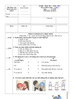 Tải Đề thi học kì 1 lớp 4 môn Khoa học trường tiểu học Trần Quang Khải năm 2018 - 2019 - Đề kiểm tra học kì 1 môn Khoa học lớp 4 có đáp án