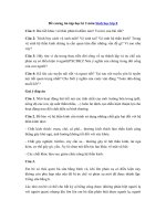 Tải Giải bài tập SGK Lịch sử 10 bài 14 - Các quốc gia cổ đại trên đất nước Việt Nam