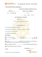 Tải Mẫu quyết định bổ nhiệm trưởng phòng - HoaTieu.vn