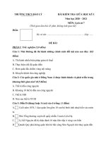 Tải Đề thi giữa học kì 1 lớp 6 môn Lịch sử trường THCS Bảo Lý năm 2020 - 2021 - Đề kiểm tra giữa học kì 1 lớp 6 môn Sử