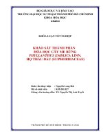 Khảo sát thành phần hóa học cây me rừng phyllanthus emblica linn  họ thầu dầu (euphorbiaceae)  