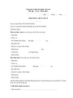 Mẫu hợp đồng cho thuê nhà ở mới nhất