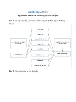 Tải Giải SBT Địa 7 bài 2: Sự phân bố dân cư - Các chủng tộc trên thế giới - Giải bài tập SBT môn Địa lý lớp 7