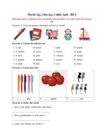 Tải Ôn hè lớp 2 lên lớp 3 môn Anh - Đề 5 - Ôn tập Tiếng Anh lớp 2 cả năm có đáp án