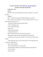 Tải Nghị luận về một hiện tượng đời sống - Lý thuyết và Bài tập vận dụng phần Tiếng Việt - Tập làm văn lớp 12