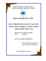 (Luận văn thạc sĩ) quản trị rủi ro lãi suất tại ngân hàng nông nghiệp  phát triển nông thôn việt nam  