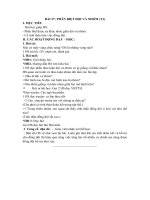 Tải Giáo án Thực hành kĩ năng sống 3 bài 27: Phân biệt đội và nhóm - Giáo án điện tử môn Kỹ năng sống lớp 3