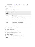 Tải Giải VBT Sinh học lớp 6 bài 10: Cấu tạo miền hút của rễ - Giải bài tập môn Sinh học lớp 6