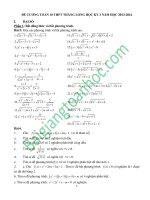 Đề cương ôn tập học kỳ 2 môn toán lớp 10 trường THPT Thăng Long năm 2013-2014