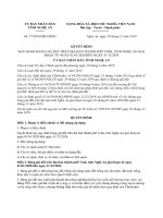 Tải Bảng giá đất tỉnh Nghệ An năm 2020 - HoaTieu.vn