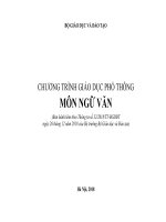 Tải Chương trình giáo dục phổ thông tổng thể môn Ngữ Văn - HoaTieu.vn