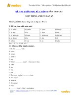 Tải Đề thi học kì 1 môn Tiếng Anh lớp 4 trường Tiểu học An Vinh 2 - Bộ 3 đề thi học kì 1 lớp 4 môn tiếng Anh có đáp án