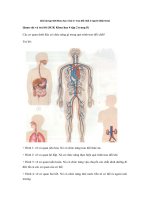 Tải Giải bài tập SGK Khoa học 4 bài 3: Trao đổi chất ở người (tiếp theo) - Giải bài tập môn Khoa học lớp 4