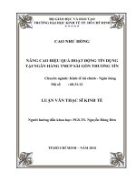(Luận văn thạc sĩ) nâng cao hiệu quả hoạt động tín dụng tại ngân hàng TMCP sài gòn thương tín 