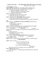 Tải Bộ đề ôn thi học sinh giỏi môn Tiếng Việt lớp 4 - Bồi dưỡng học sinh giỏi môn Tiếng Việt lớp 4