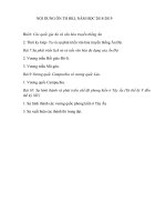 nội dung ôn tập hk1 môn lịch sử năm học 20182019  thpt nguyễn du