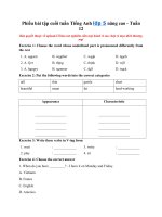 Tải Phiếu bài tập cuối tuần Tiếng Anh lớp 5 nâng cao - Tuần 12 - Bài tập cuối tuần Tiếng Anh lớp 5 - Tuần 12