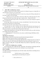 Tải Đáp án đề thi thử THPT Quốc gia môn Ngữ văn năm 2019 trường THPT Nguyễn Viết Xuân - Vĩnh Phúc lần 4 - Đề minh họa Ngữ văn năm 2019