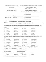 Tải Đề thi chọn học sinh giỏi môn Tiếng Anh lớp 8 tỉnh Bắc Giang năm học 2012 - 2013 - Đề thi học sinh giỏi môn tiếng Anh lớp 8 có đáp án