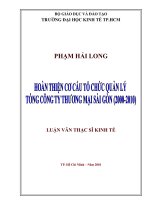 (Luận văn thạc sĩ) hoàn thiện cơ cấu tổ chức quản lý tổng công ty thương mại sài gòn (2000   2010) 