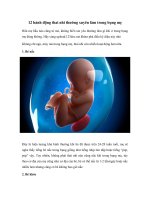 Tải 12 hành động thai nhi thường xuyên làm trong bụng mẹ - Thai nhi làm gì trong bụng mẹ?