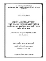 (Luận văn thạc sĩ) chiến lược phát triển thẻ thanh toán của hệ thống ngân hàng thương mại việt nam đến năm 2010 