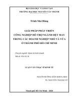 Giải pháp phát triển công nghiệp hỗ trợ ngành dệt may trong các doanh nghiệp nhỏ và vừa ở thành phố hồ chí minh  