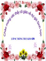 Bài 7: Bộ xương - Tài nguyên - Trung tâm Thông tin - Thư viện điện tử