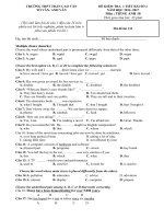 Tải Đề kiểm tra 1 tiết môn Tiếng Anh lớp 10 trường THPT Trần Cao Vân, TP. HCM năm học 2016 - 2017 (lần 2) - Bài ôn tập Tiếng Anh 10
