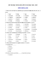 Tải Đề thi học sinh giỏi môn Tiếng Anh lớp 8 năm học 2018 - 2019 số 9 - Bồi dưỡng học sinh giỏi lớp 8 môn Tiếng Anh