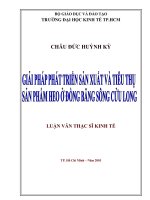(Luận văn thạc sĩ) giải pháp phát triển sản xuất và tiêu thụ sản phẩm heo ở đồng bằng sông cửu long 