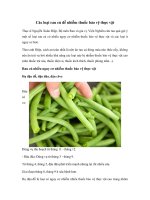 Tải Các loại rau củ dễ nhiễm thuốc bảo vệ thực vật - Những loại rau củ có nguy cơ nhiễm thuốc bảo vệ thực vật nhiều nhất