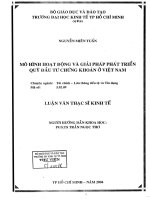 (Luận văn thạc sĩ) mô hình hoạt động và giải pháp phát triển quỹ đầu tư chứng khoán ở việt nam 