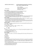 Đề thi HSG Hoá lớp 11 năm học 2017-2018