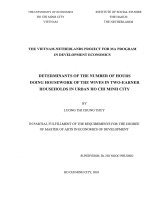 (Luận văn thạc sĩ) determinants of the number of hours doing housework of the wives in tow earner households in urban HCM city 