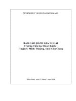 UMT BCDGN TH HoaChanh1-UMT