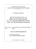 (Luận văn thạc sĩ) một số giải pháp nâng cao hiệu quả kinh doanh của các doanh nghiệp dệt trung ương tại TP  hồ chí minh 