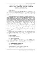 Nghiên cứu hoàn thiện công nghệ sản xuất gioăng cao su đường ống xăng dầu VN.PMT-100
