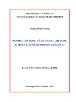 Nguồn lao động và sử dụng lao động ở quận 12 (thành phố hồ chí minh)  